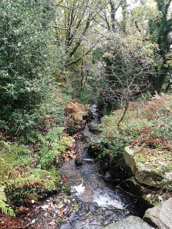 Raynor Clough - Park in bolsterstone ewden village
