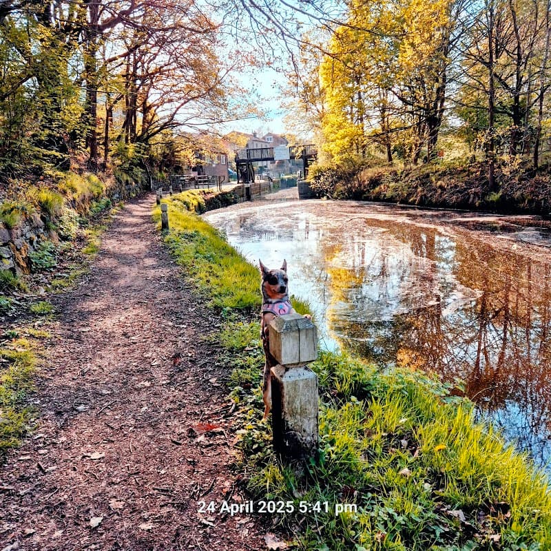 Kirklees Top Lock 14 - Historic Site in brighouse