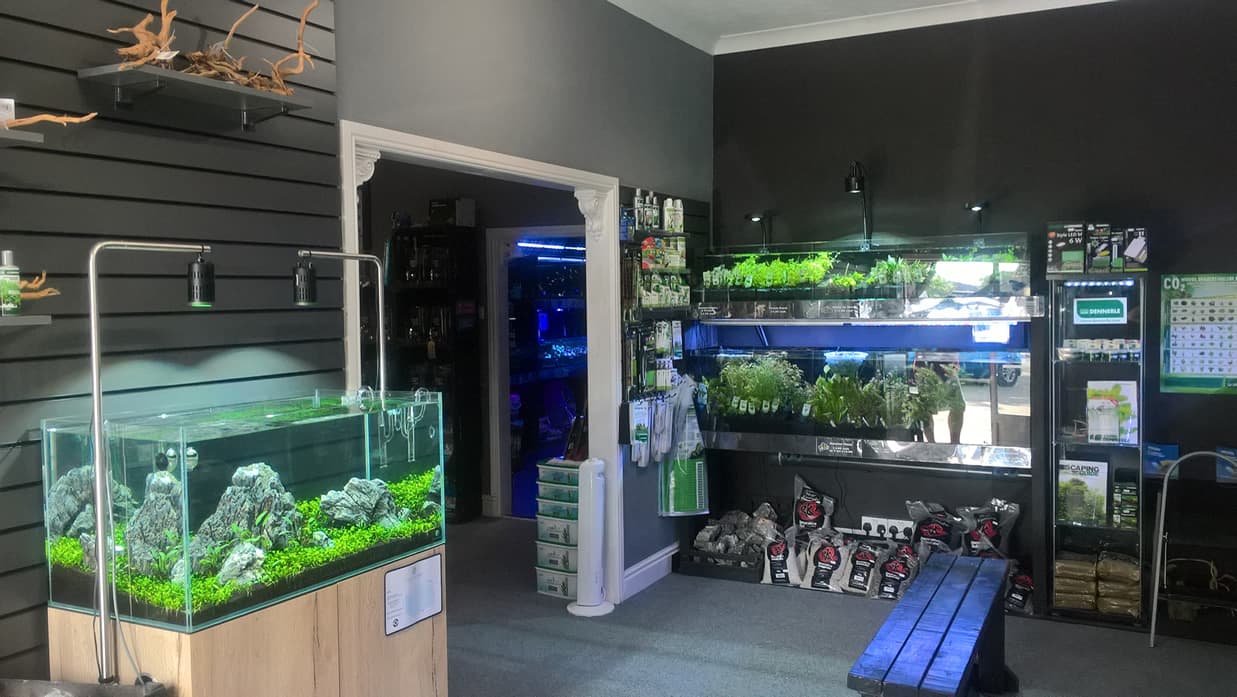 Octopus 8 Aquatics - Pet Shops in brough