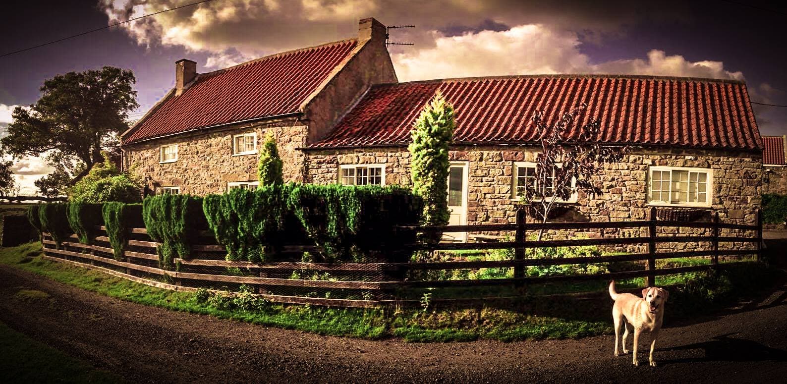 Accommodation at Chequers Bed and Breakfast in osmotherley