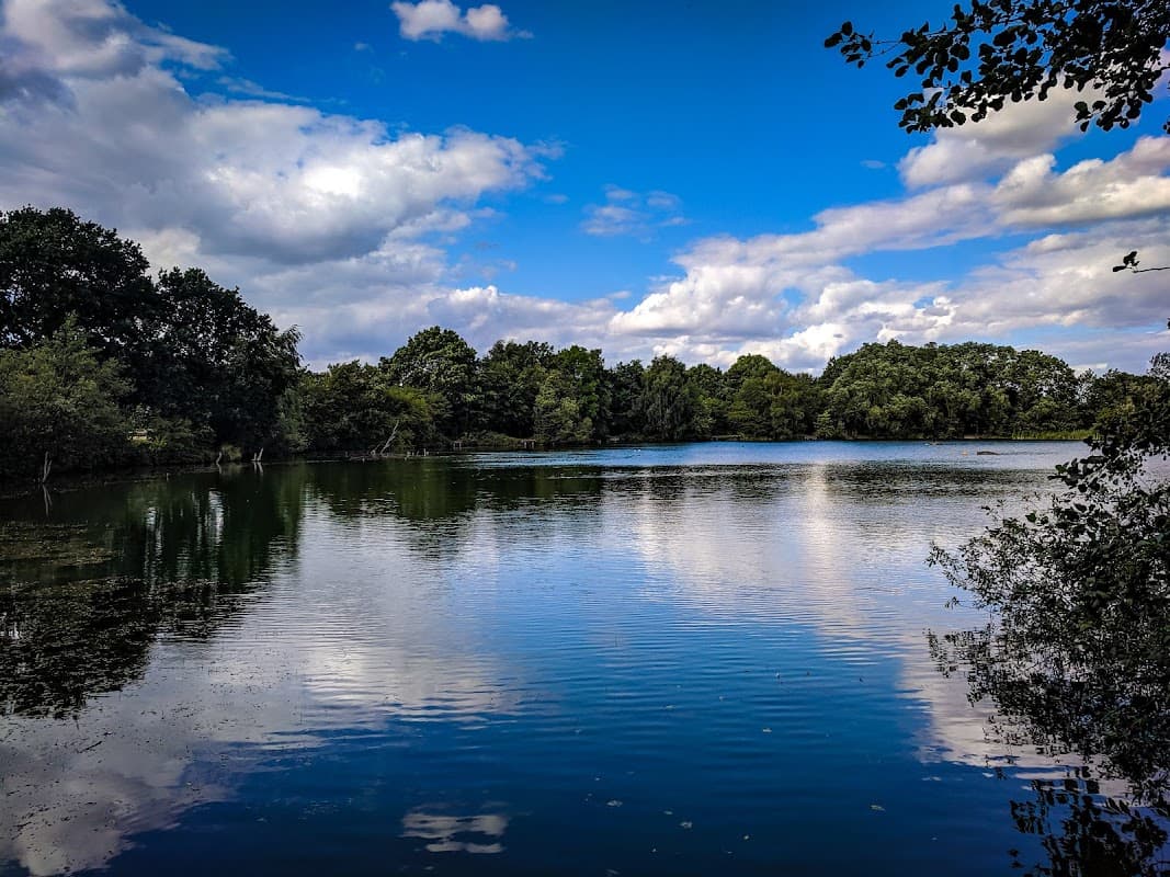 Serene pond reflecting clouds and trees under a bright blue sky, surrounded by lush greenery at Eastrington Ponds.
