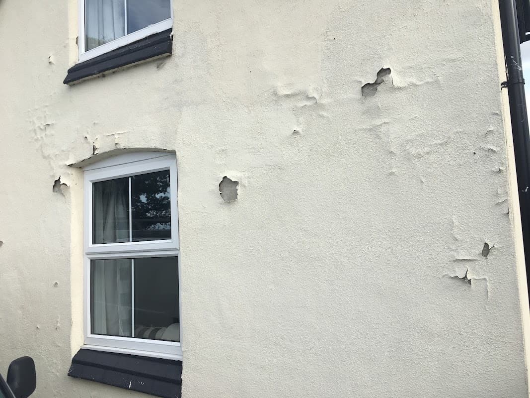 Andura Abroad - No Need To Paint - Painters & Decorators in garforth