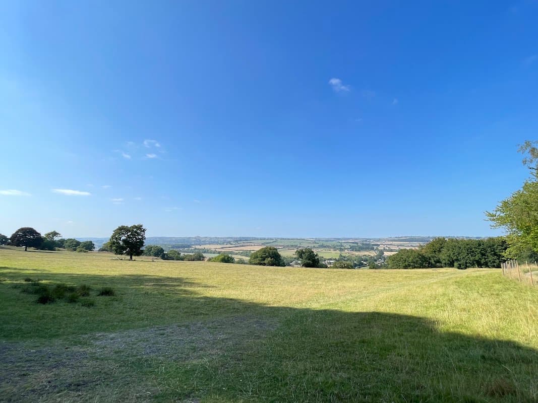 Expansive green fields under a clear blue sky, with distant hills and trees in the background at Harewood Park.