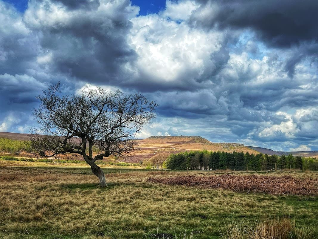National Trust - Longshaw - Park in hathersage
