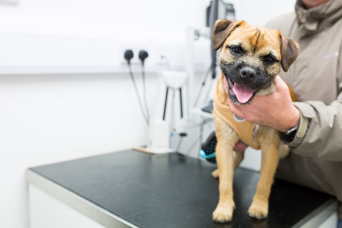 Gatehouse Veterinary Group Haworth - Vets in haworth