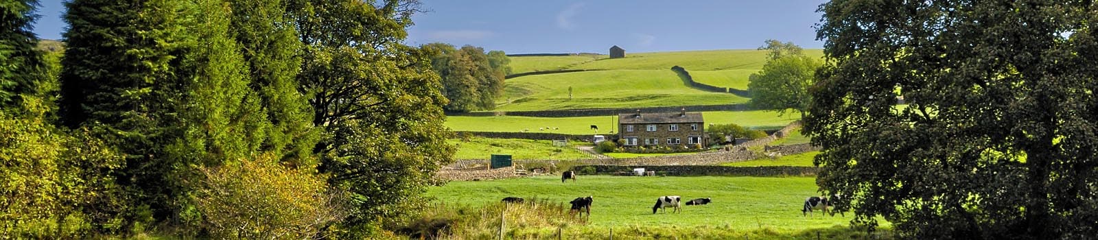 Garrington Property Finders - Yorkshire and North East - Estate Agents in harrogate