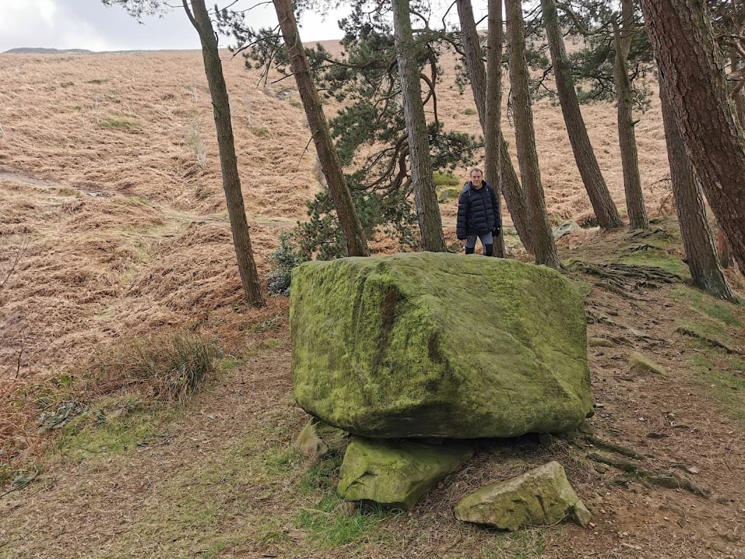 Willy Hall's Wood - Historic Site in ilkley