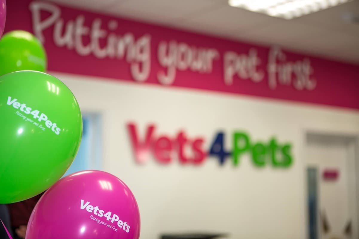 Vets4Pets - Leeds - Vets in leeds