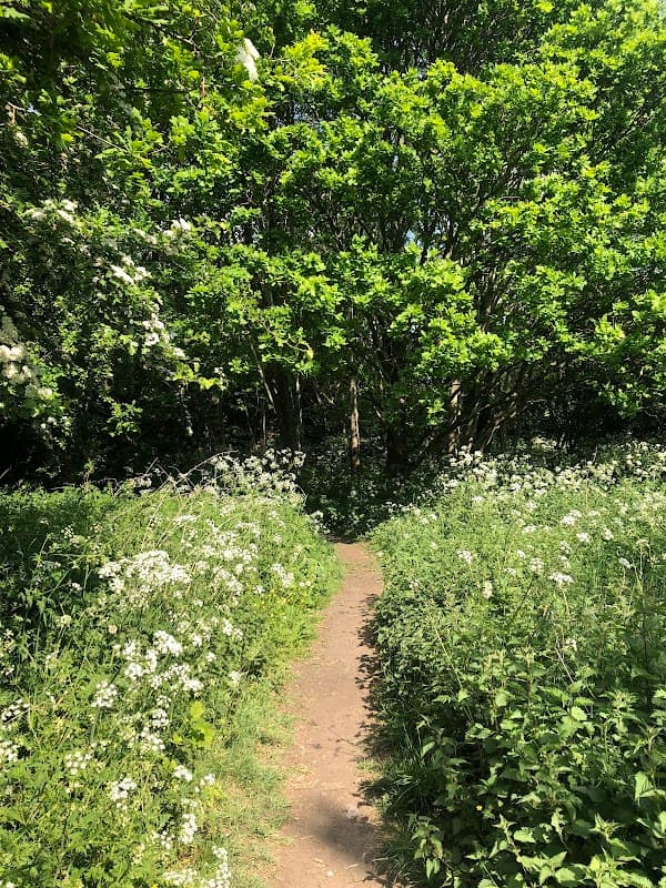 Quarry Woods - Park in mirfield