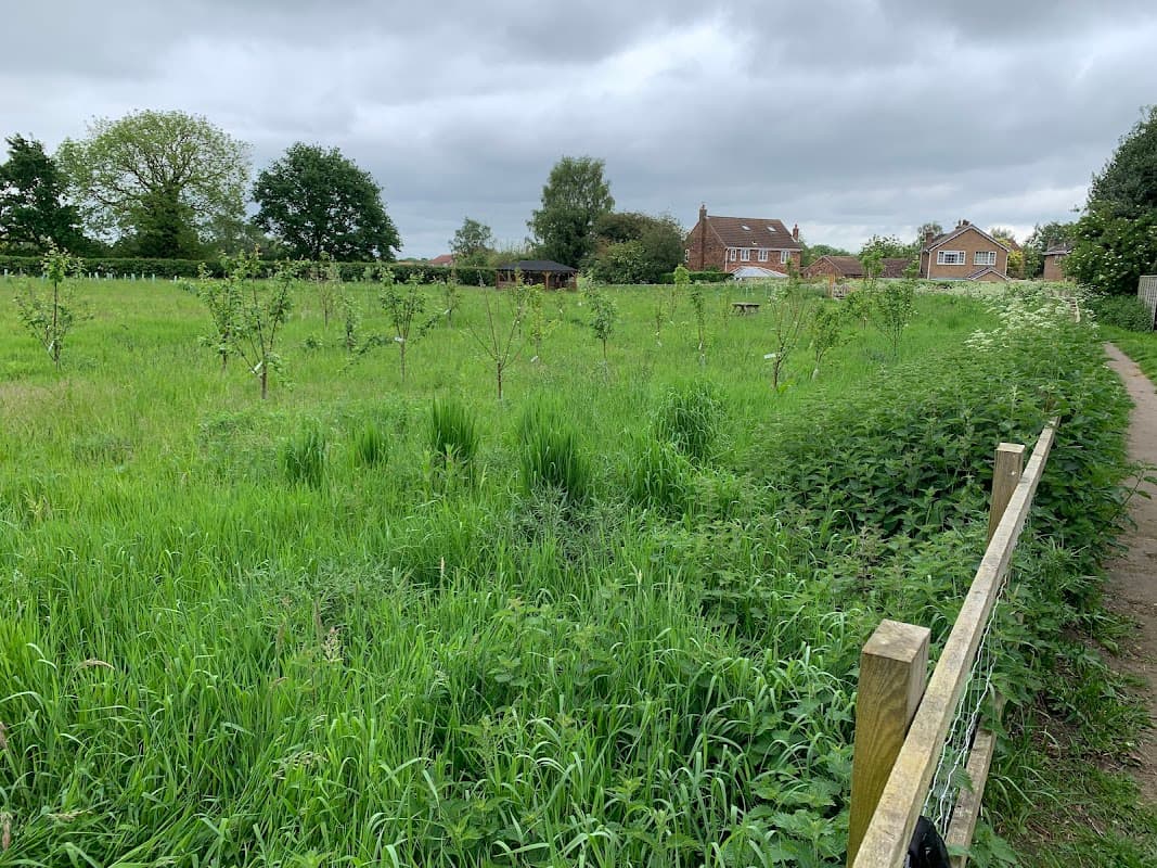 Lush green meadow with young trees, a wooden structure in the background, and a pathway bordered by a wooden fence.