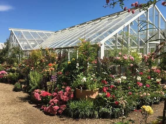 RV Roger - Garden in pickering