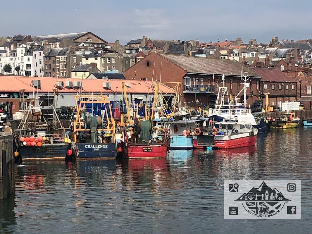 Scarborough Yacht Club - Marinas in scarborough