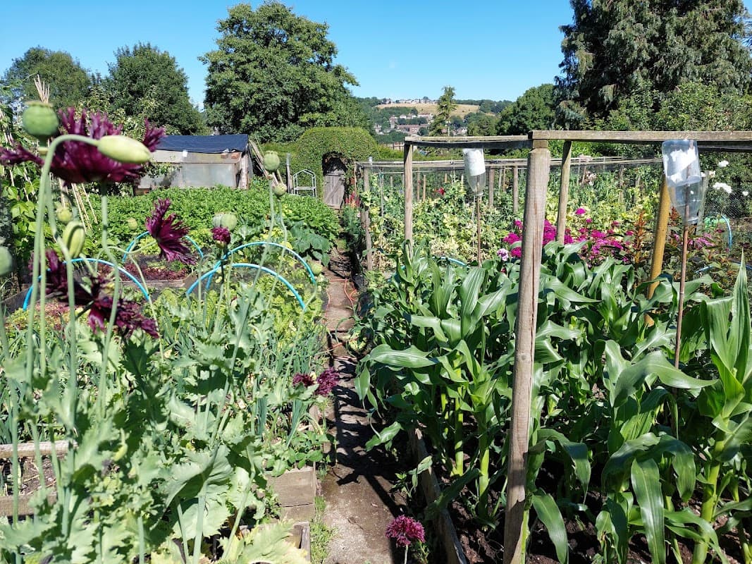 Northcliffe Allotments - Bottom site - Park in shipley
