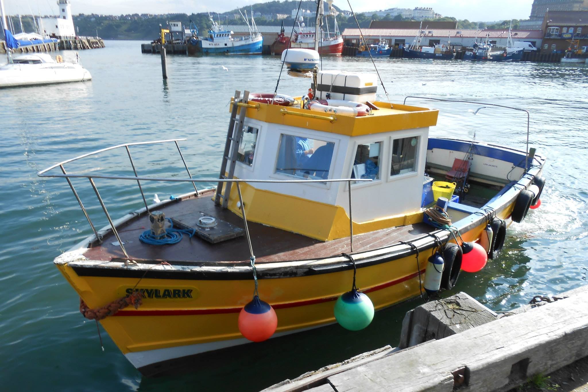 Skylark Fishing & Charters - Activity in scarborough
