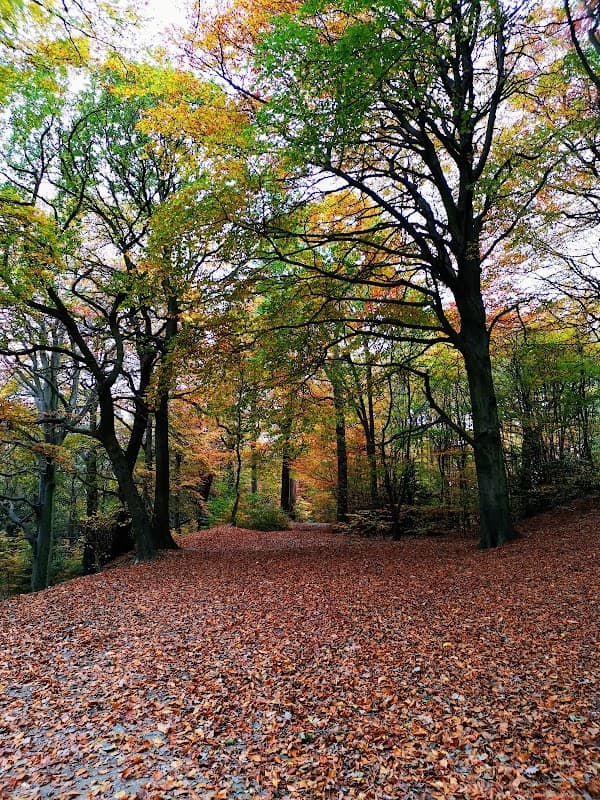 Wath Wood - Park in wath upon dearne