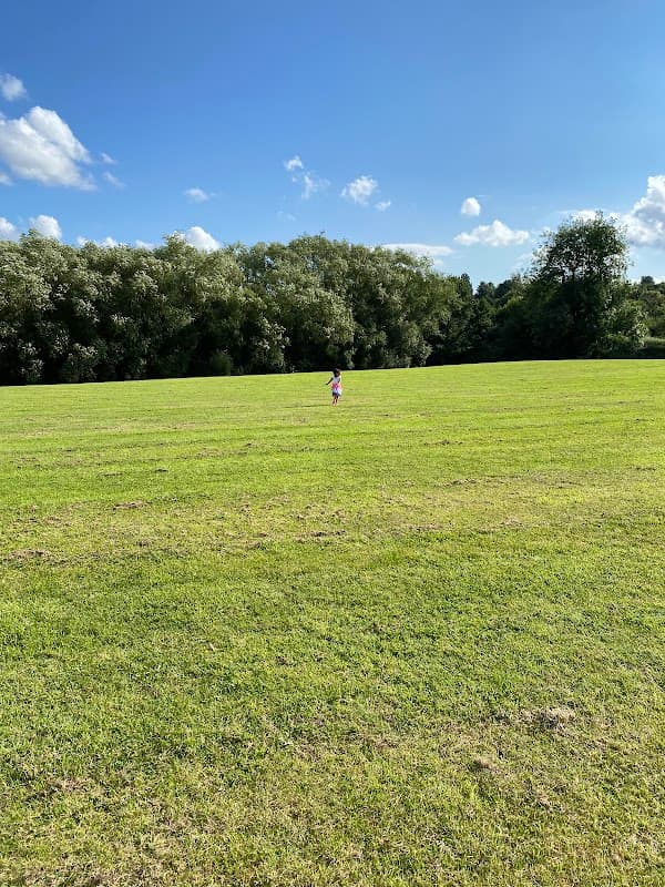Flockton Park Woodland - Park in woodhouse