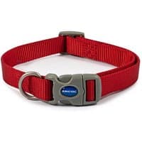 Red Ancol Viva Quick Fit dog collar, 30-50cm, with adjustable strap, plastic buckle, and metal D-ring.