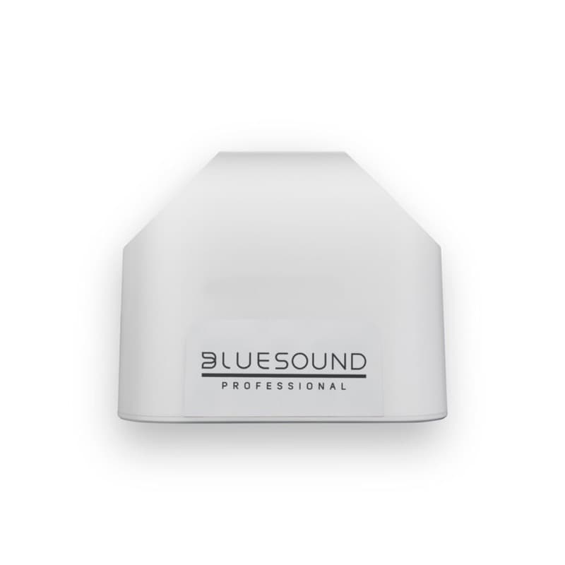 Bluesound Professional BSP200-WH - image 2