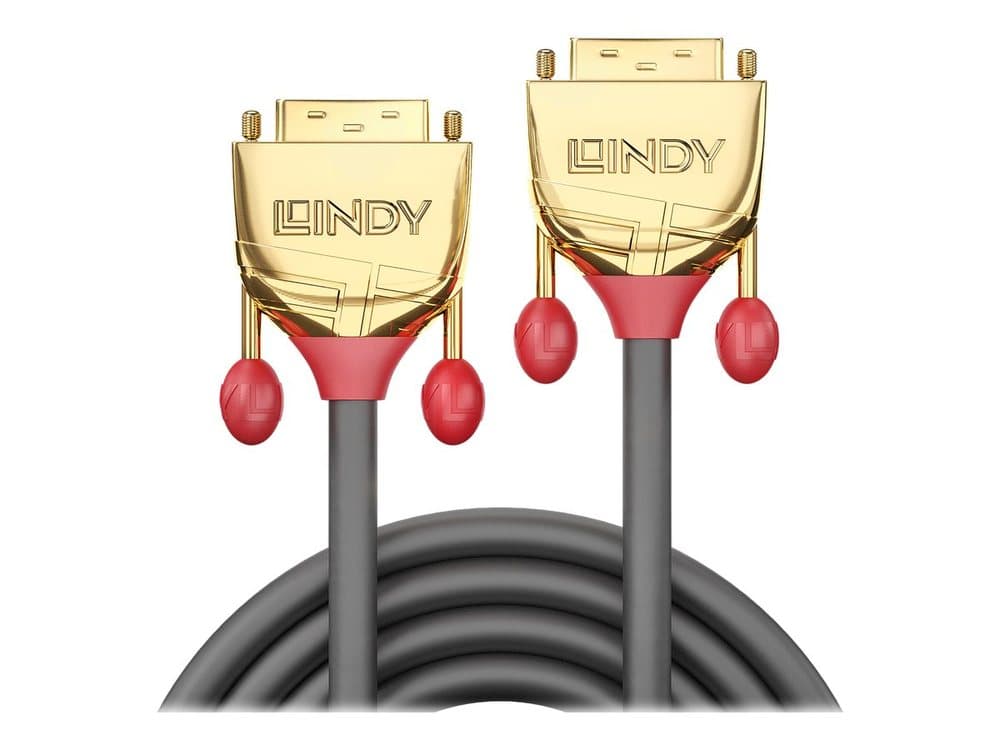 Lindy 20m DVI-D Dual Link cable with gold-plated connectors, featuring a sleek gray cable and red rubber tips for enhanced grip and durability.