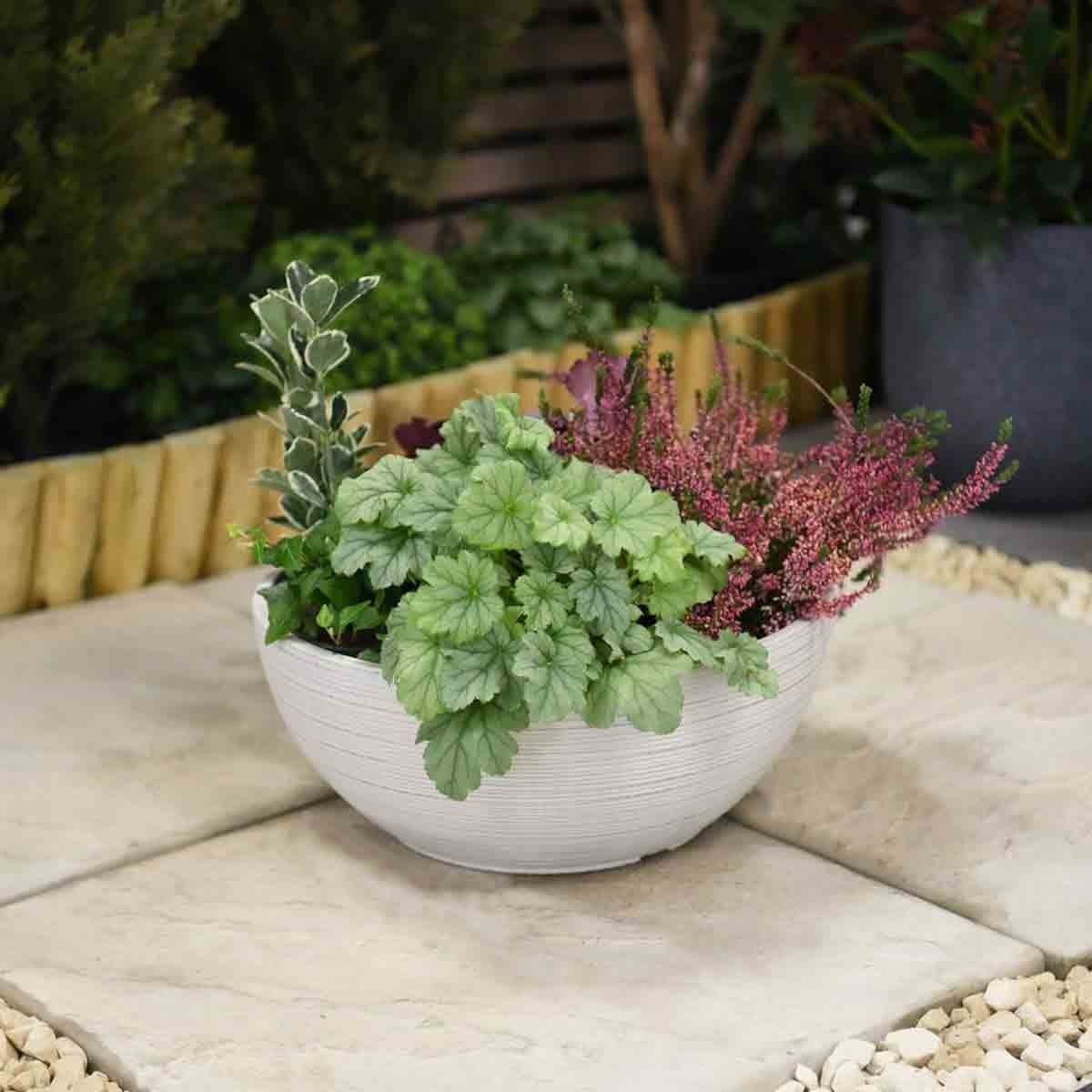 Light grey 35cm Bayadere bowl planter by Garden Gear, featuring textured exterior and filled with lush green plants and purple heather, set on a stone surface.