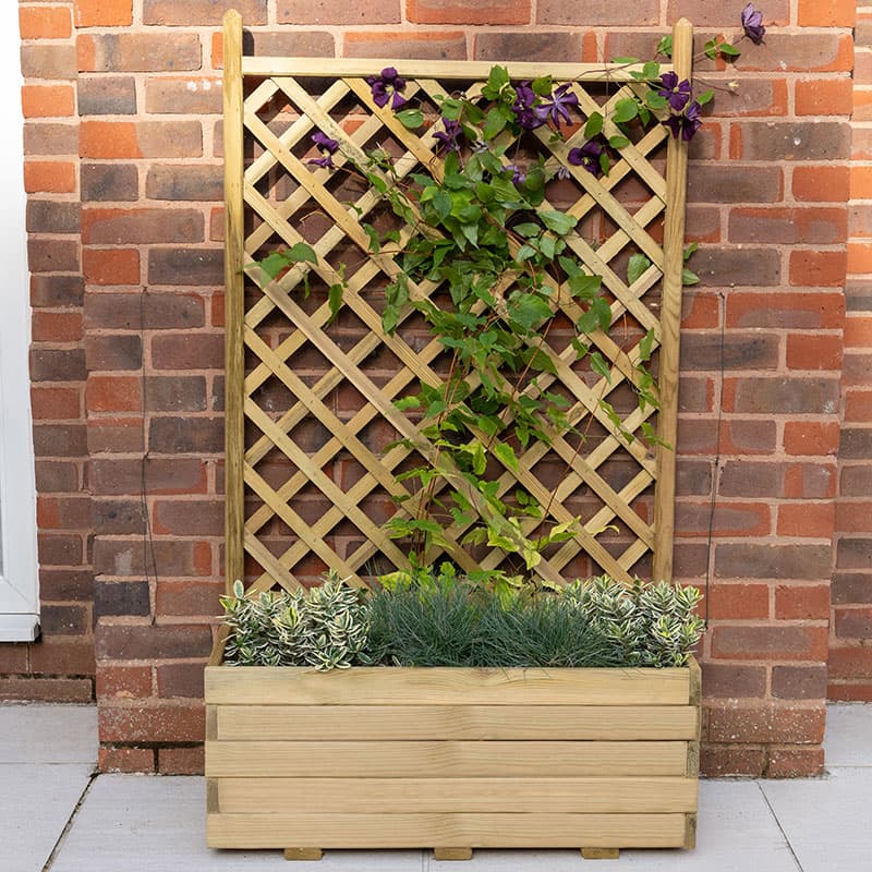 Wooden garden planter with a trellis back, featuring a natural finish, climbing plants, and a mix of green foliage, set against a brick wall.