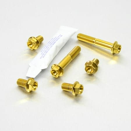 Pro-Bolt stainless steel crash bar mount bolt kit featuring six gold bolts and a tube of adhesive, designed for durability and style.