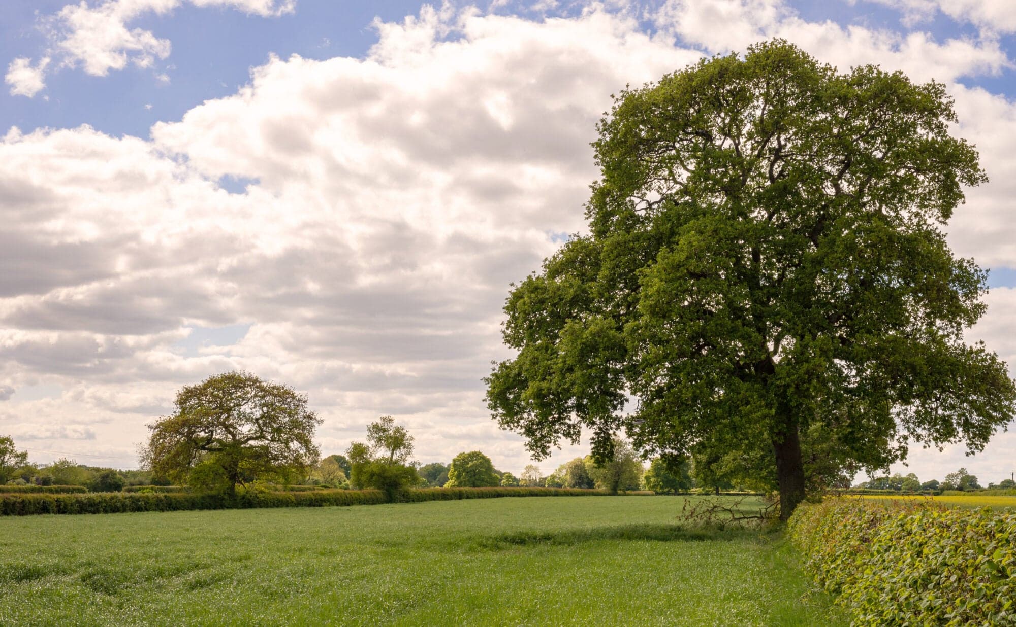 Earswick