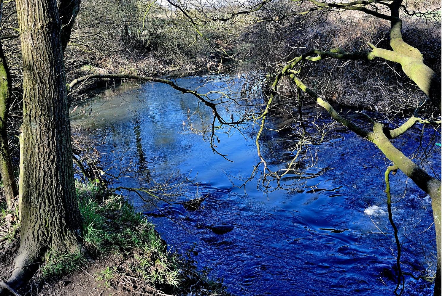 River Dearne