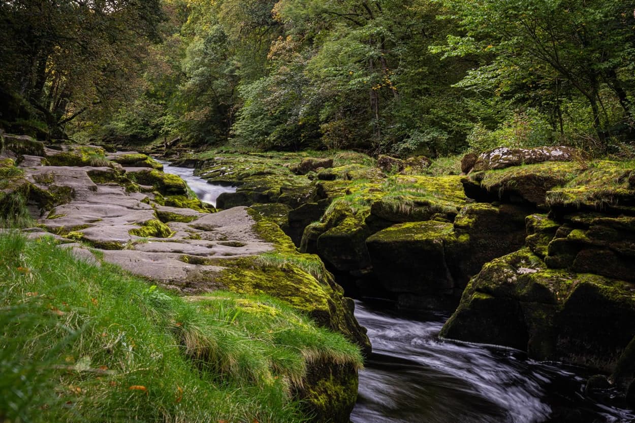 Walk: Bolton Abbey