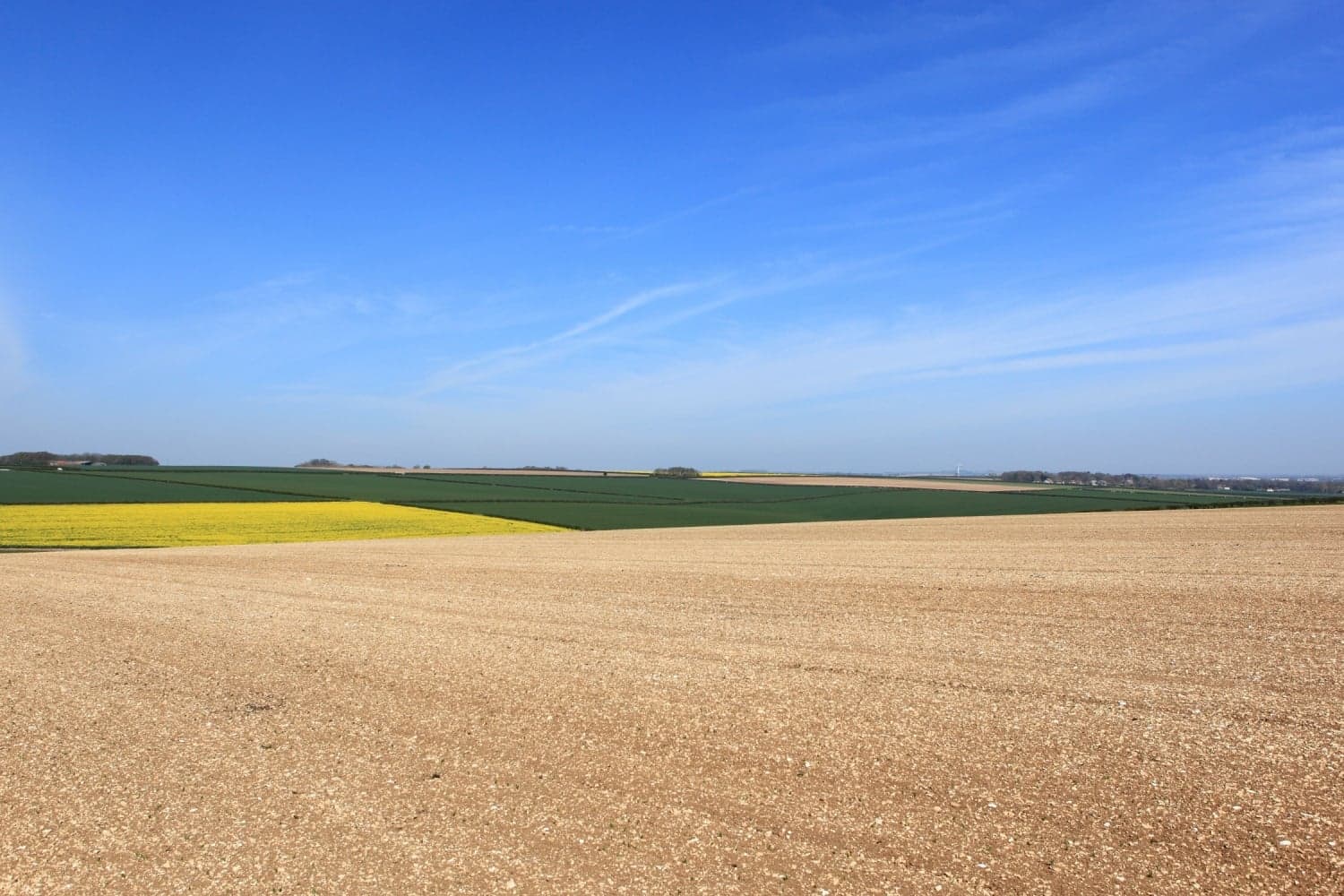 Walk: The Chalkland Way