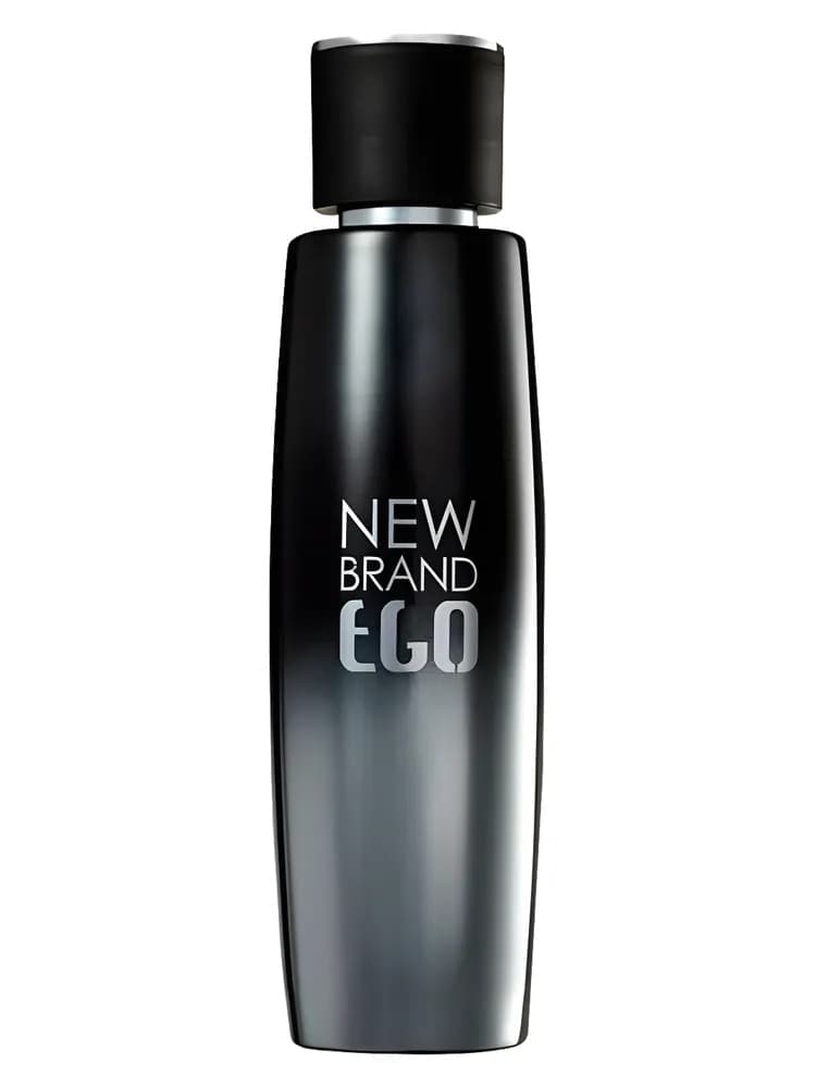 Ego Silver for men