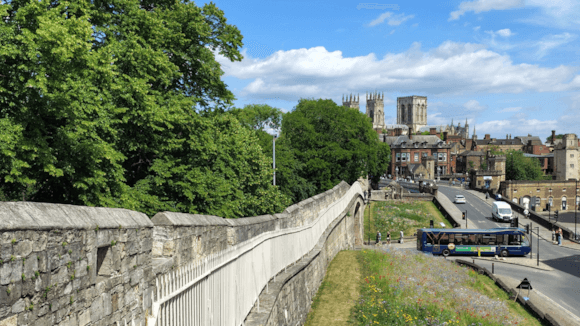 Historic York city walls with lush greenery, a vibrant flower meadow, and the iconic York Minster in the background.