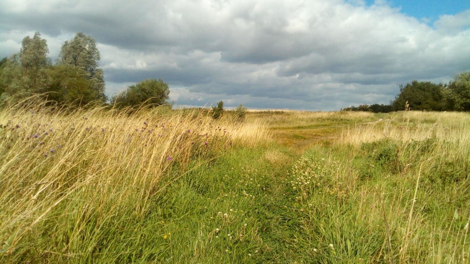 Walk: Fitzwilliam Country Park