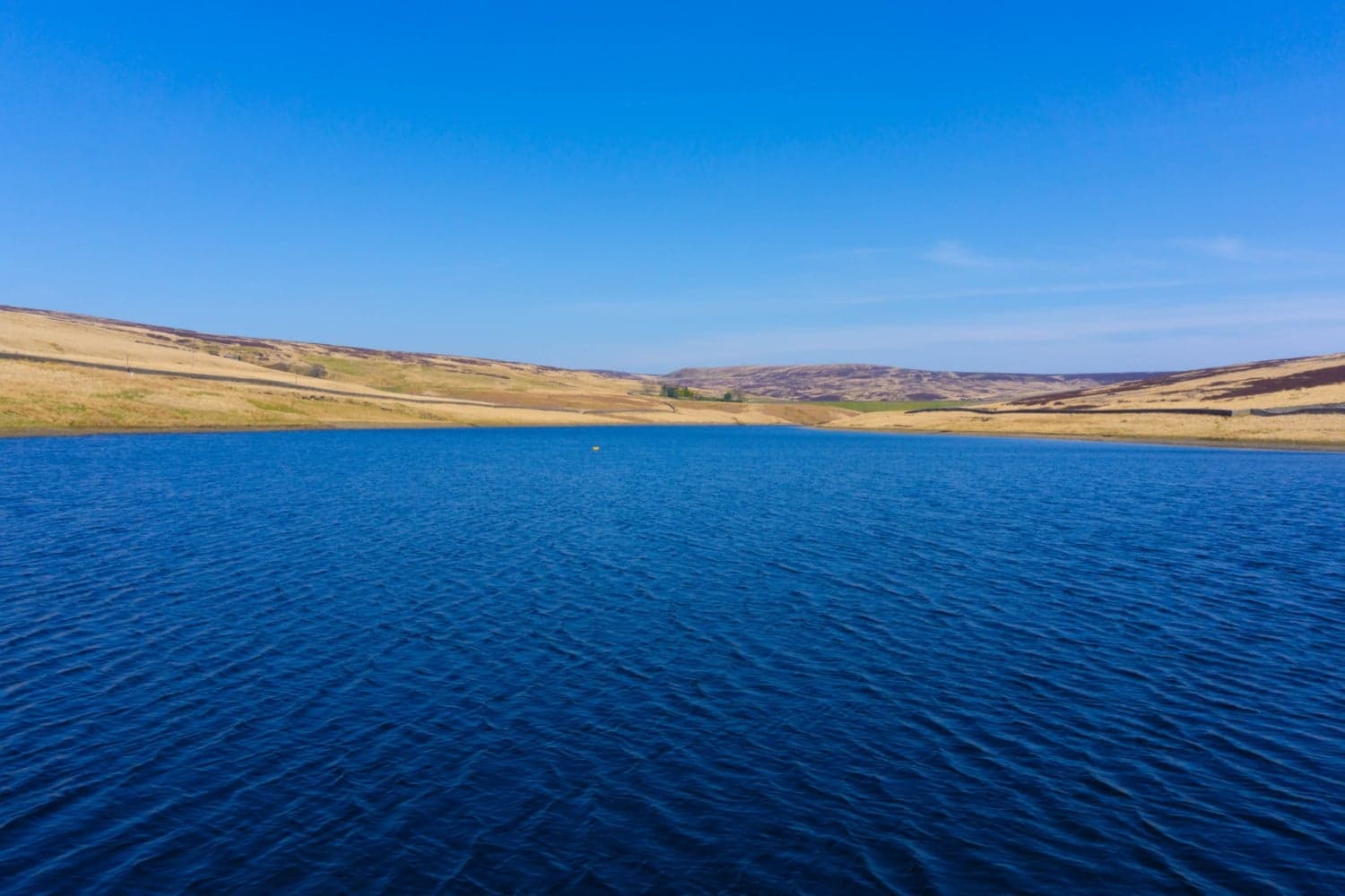 Walk: Mary Towneley Loop