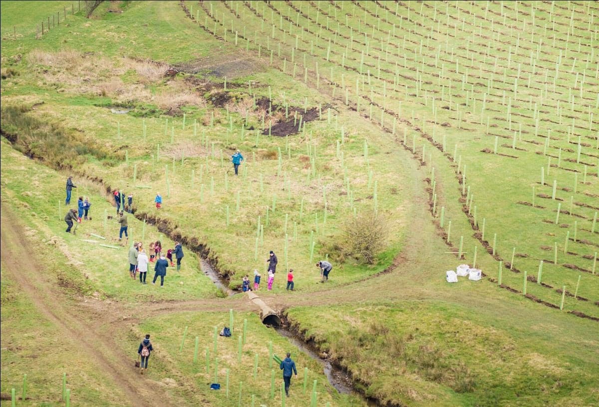 Newsletter: Friday 21st November 2025