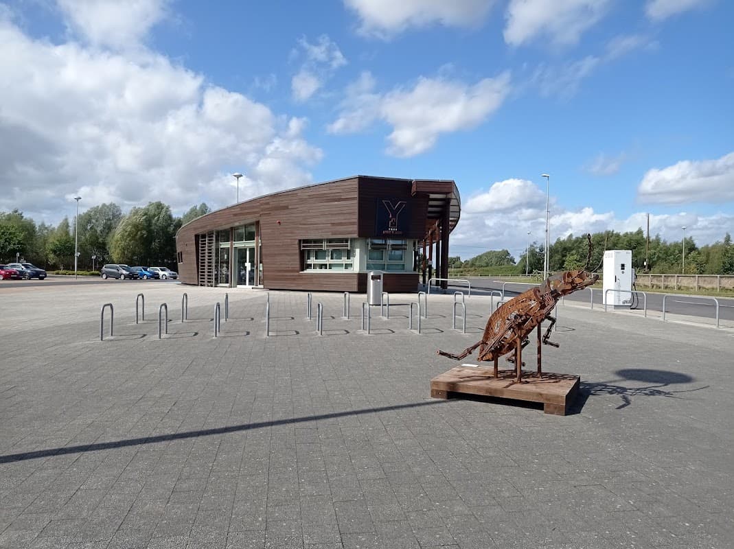 Modern building with large windows, a metal sculpture of a dog, and parking spaces under a blue sky with clouds.