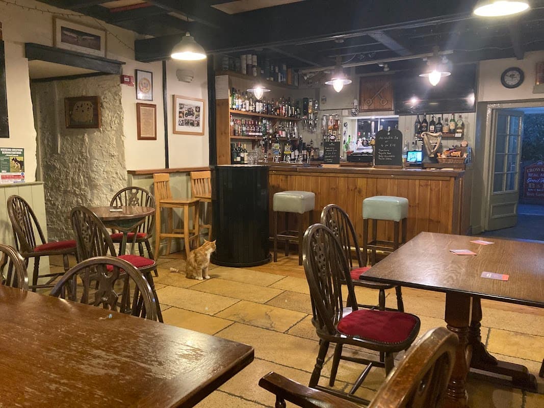 Cozy bar interior with wooden tables, chairs, a well-stocked bar, and a cat sitting on the floor.