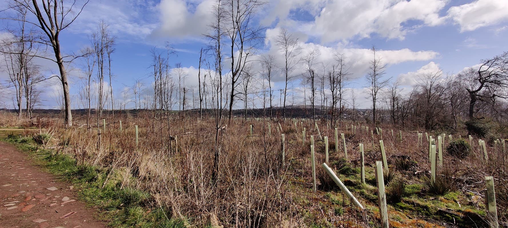 Bradford, Bingley, Betty's Wood - Park in bingley