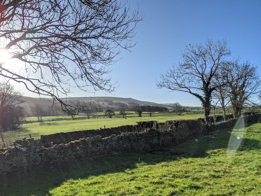 Lush green fields under a clear blue sky, with stone walls and bare trees, framed by distant hills in Coverham, Yorkshire.