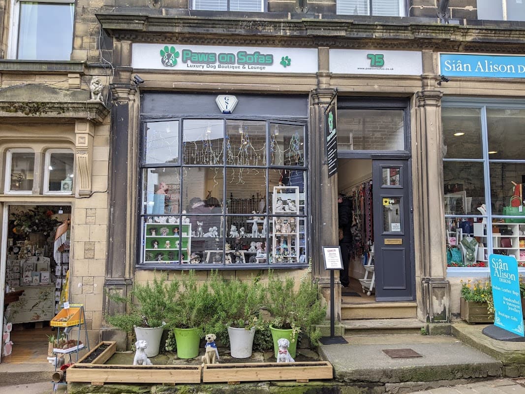 Paws on Sofas - Pet Shops in cross roads