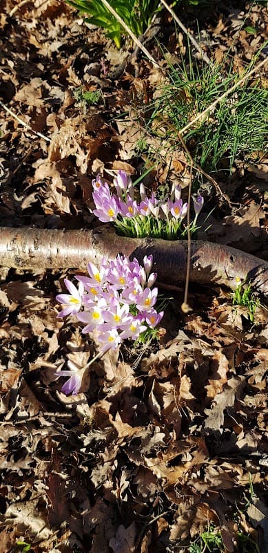 Jik Wood - Park in doncaster