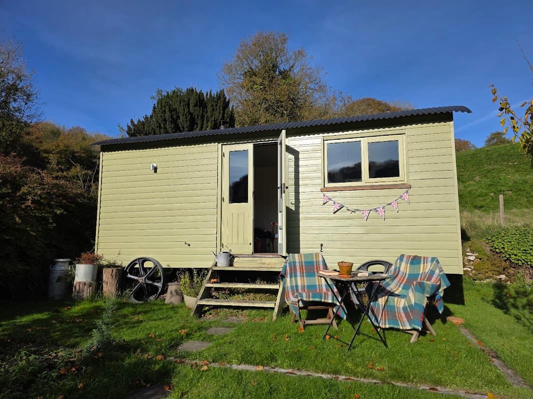 Charming green cabin with a porch, surrounded by grass and trees, featuring a small table and chairs with cozy blankets.
