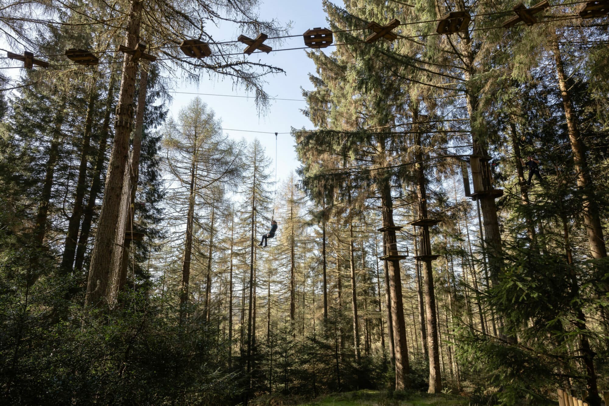 Go Ape Dalby - Activity in dalby forest
