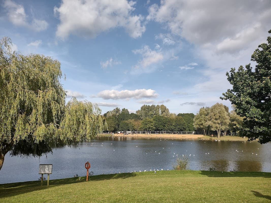 Lush green park with a lake, trees, and a cloudy blue sky, featuring a lifebuoy near the water's edge.
