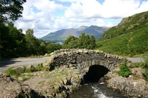 Herriot Country Tours - Tour in bellerby