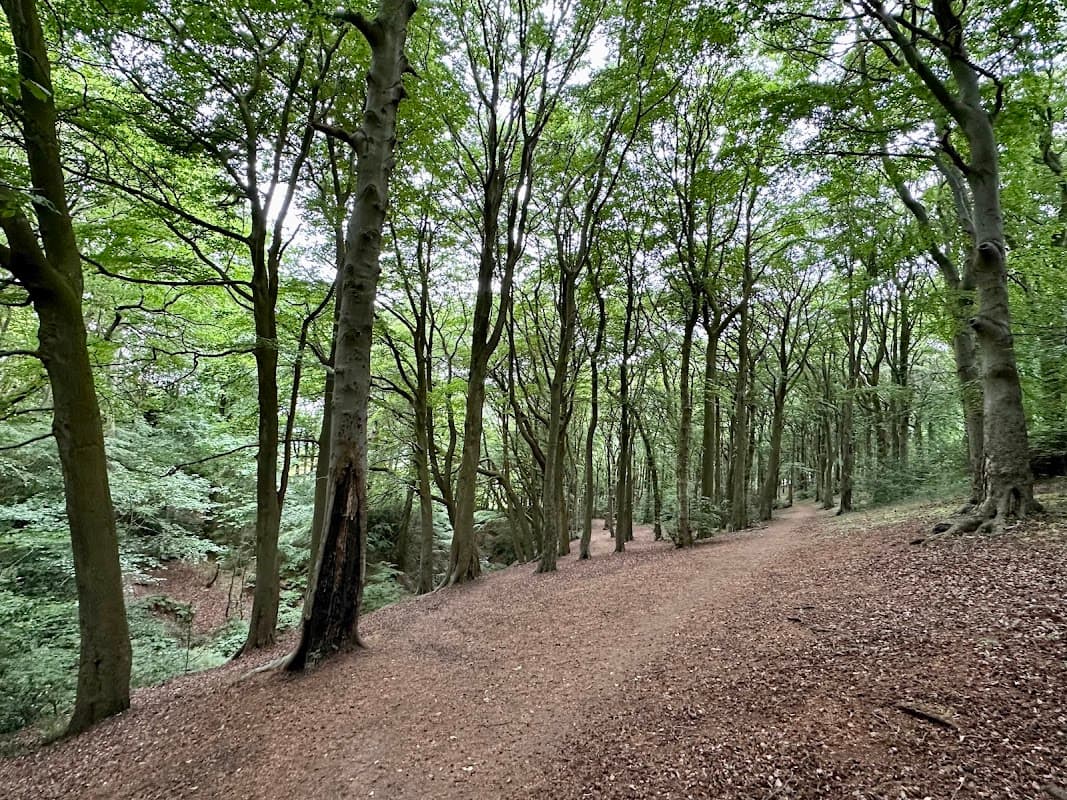 Longley Woods Nature Reserve - Nature Reserves in huddersfield