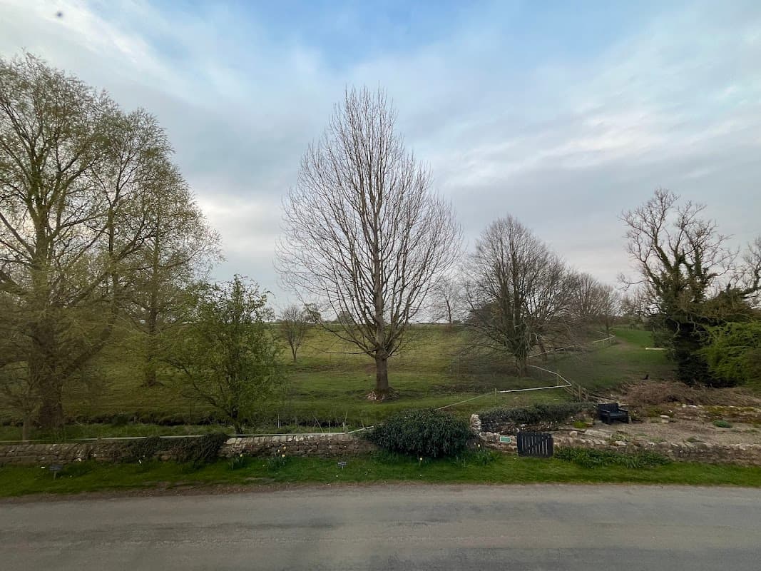 Lush green landscape with bare trees under a cloudy sky, featuring a stone wall and a small stream.