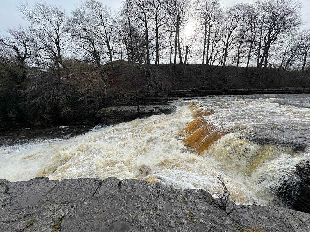 Bus Stop at Hall - Bus Stops in leyburn