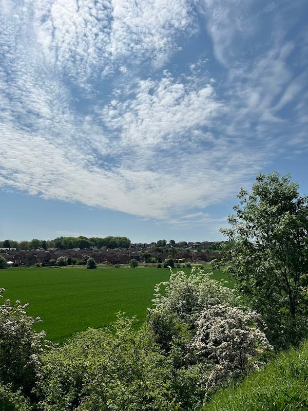 Railway Sidings - Wakefield Local Wildlife Site - Nature Reserves in normanton