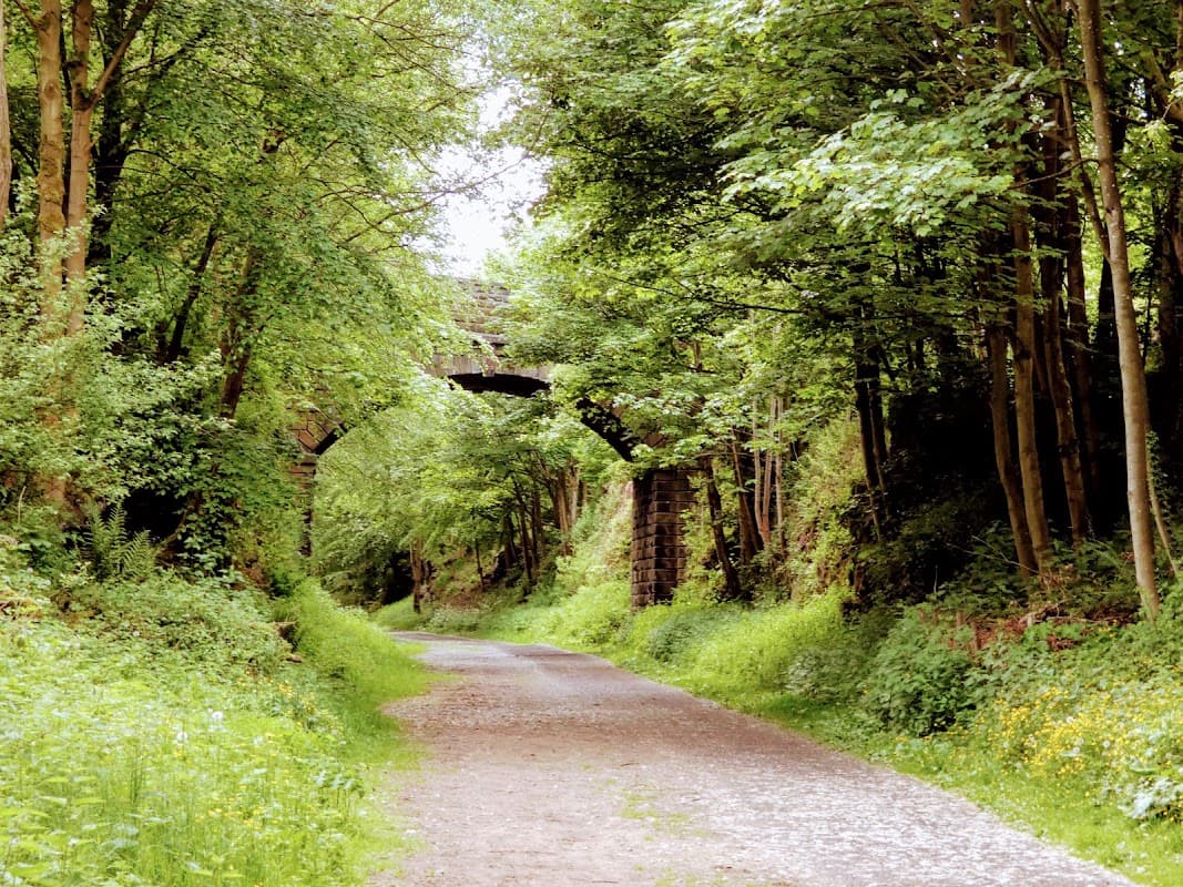 Lush green pathway flanked by trees, with stone arches visible in the background along the Trans Pennine Trail.
